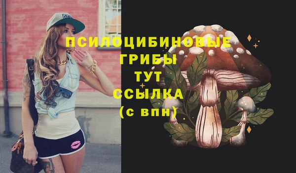дмт Россошь