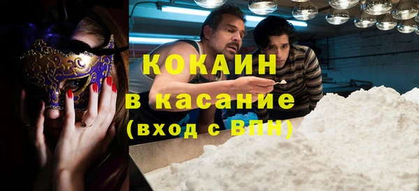 PSILOCYBIN Алзамай