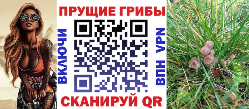 Псилоцибиновые грибы MAGIC MUSHROOMS Балей